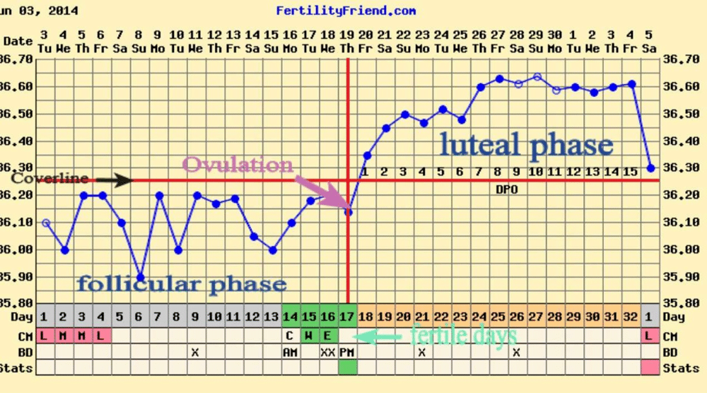 BBT Chart Basal Body Temperature Chart BBT Chart For Ovulation